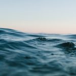 Photo by Matt Hardy from Pexels