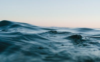 Poetic Souls Across the Pond – Bonnie Goldenberg