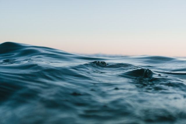 Poetic Souls Across the Pond – Bonnie Goldenberg