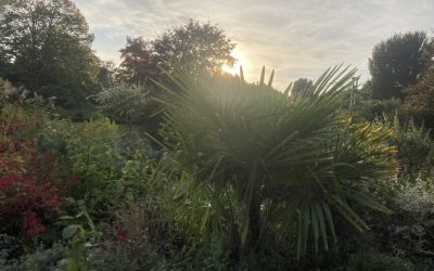 Secret Haven